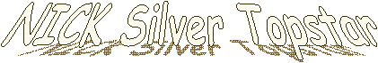 NICK Silver Topstar