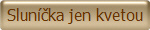 Slun��ka jen kvetou